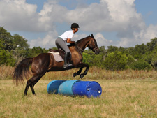 USA-Texas-Texas Equestrian Clinic